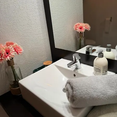 Appartement Secrète Loft Aucamville