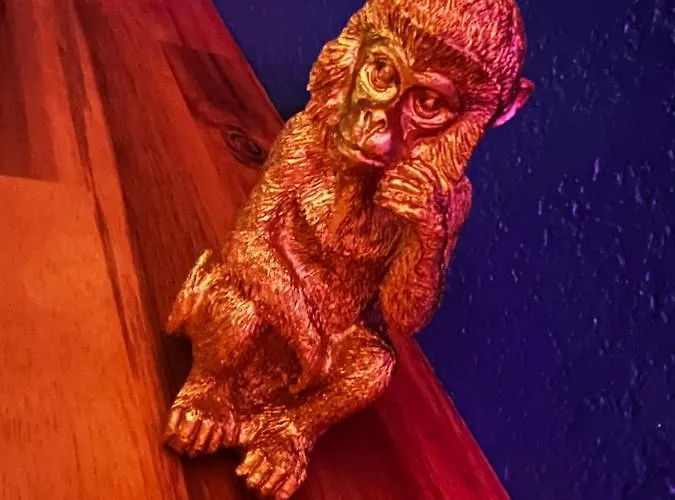 Appartement Secrète Loft Aucamville